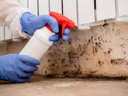  , USA Mold Removal Services Pros